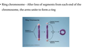 • Ring chromosome - After loss of segments from each end of the
chromosome, the arms unite to form a ring
 
