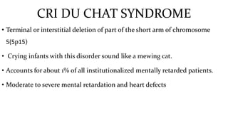 CRI DU CHAT SYNDROME
• Terminal or interstitial deletion of part of the short arm of chromosome
5(5p15)
• Crying infants with this disorder sound like a mewing cat.
• Accounts for about 1% of all institutionalized mentally retarded patients.
• Moderate to severe mental retardation and heart defects
 