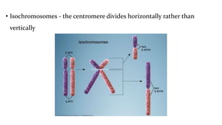 • Isochromosomes - the centromere divides horizontally rather than
vertically
 