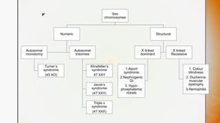 z Sex
chromosomes
Numeric
Autosomal
monosomy
Turner’s
syndrome
(45 XO)
Autosomal
trisomies
Klinefelter’s
syndrome
47 XXY
Jacob’s
syndrome
(47 XXY)
Triple x
syndrome
(47 XXX)
Structural
X linked
dominant
1.Alport
syndrome
2.Nephrogenic
DI
3. Hypo-
phosphatemic
rickets
X linked
Recessive
1. Colour
blindness
2. Duchenne
muscular
dystrophy
3.Hemophilia
 