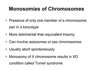 Monosomies of Chromosomes
• Presence of only one member of a chromosome
pair in a karyotype
• More detrimental than equivalent trisomy
• Can involve autosomes or sex chromosomes
• Usually abort spontaneously
• Monosomy of X chromosome results in XO
condition called Turner syndrome
 