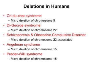 Deletions in Humans
• Cri-du-chat syndrome
– Micro deletion of chromosome 5
• Di-George syndrome
– Micro deletion of chromosome 22
• Schizophrenia & Obsessive Compulsive Disorder
– Micro deletion of chromosome 22 associated
• Angelman syndrome
– Micro deletion of chromosome 15
• Prader-Willi syndrome
– Micro deletion of chromosome 15
 