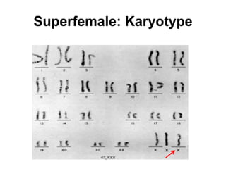Superfemale: Karyotype
 