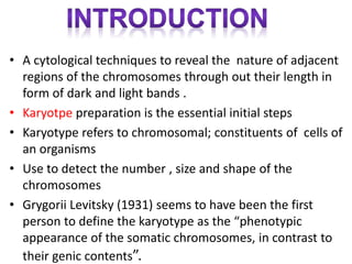 • A cytological techniques to reveal the nature of adjacent
regions of the chromosomes through out their length in
form of dark and light bands .
• Karyotpe preparation is the essential initial steps
• Karyotype refers to chromosomal; constituents of cells of
an organisms
• Use to detect the number , size and shape of the
chromosomes
• Grygorii Levitsky (1931) seems to have been the first
person to define the karyotype as the “phenotypic
appearance of the somatic chromosomes, in contrast to
their genic contents”.
 