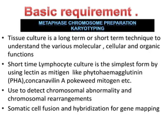 • Tissue culture is a long term or short term technique to
understand the various molecular , cellular and organic
functions
• Short time Lymphocyte culture is the simplest form by
using lectin as mitigen like phytohaemagglutinin
(PHA),concanavilin A pokeweed mitogen etc.
• Use to detect chromosomal abnormality and
chromosomal rearrangements
• Somatic cell fusion and hybridization for gene mapping
 