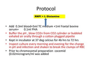 Protocol
• Add 0.3ml blood+5ml TC medium +1ml Foetal bovine
serum+ 0.1ml PHA
• Buffer the pH , blow CO2n from CO2 cylinder or bubbled
exhaled air orally through a cotton plugged pipette
• Kept in incubator at 37 deg celcius for 4b hrs to 72 hrs
• Inspect culture every morning and evening for the change
in pH and infection and shaken to break the clumps of RBC
• Prior to chromosomal preparation cocemid
(0.02microgram/ml was added
RMPI + L Glutamine
 