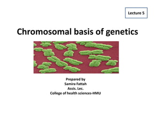Chromosomal basis of genetics
Lecture 5
Prepared by
Samira Fattah
Assis. Lec.
College of health sciences-HMU
 