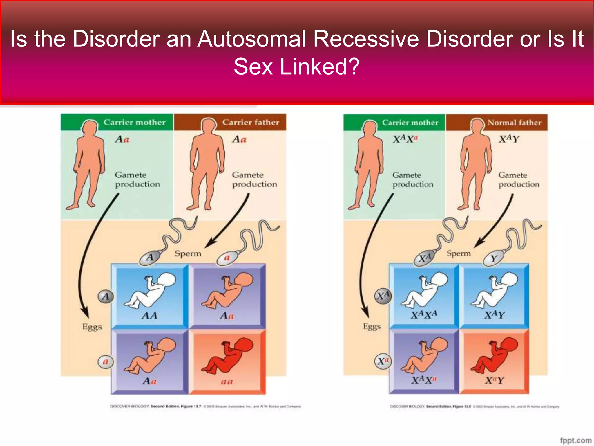 Is the Disorder an Autosomal Recessive Disorder or Is It
Sex Linked?
 