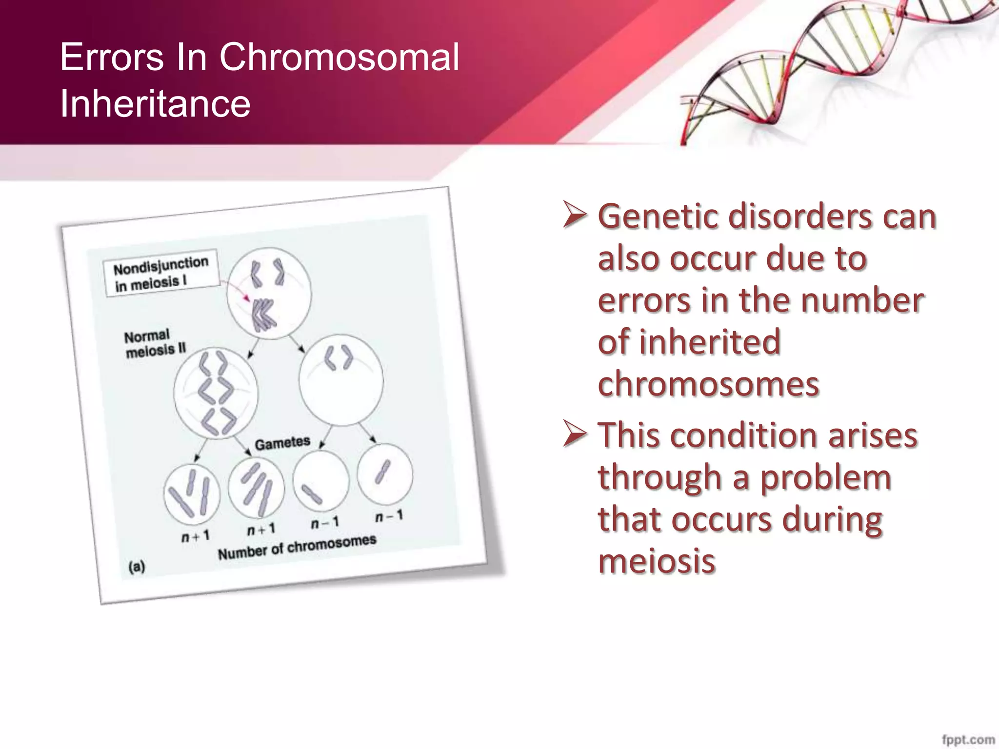Errors In Chromosomal
Inheritance
 Genetic disorders can
also occur due to
errors in the number
of inherited
chromosomes
 This condition arises
through a problem
that occurs during
meiosis
 