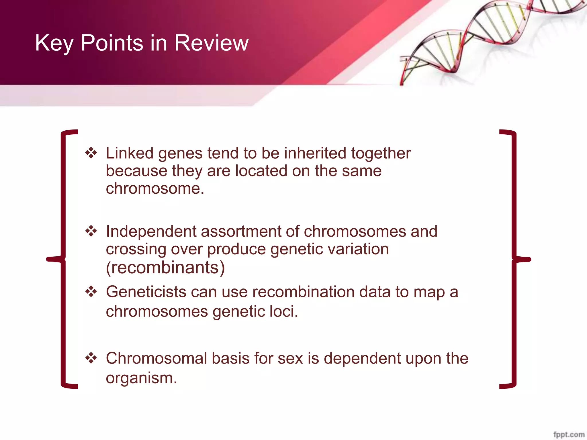 Key Points in Review
 Linked genes tend to be inherited together
because they are located on the same
chromosome.
 Independent assortment of chromosomes and
crossing over produce genetic variation
(recombinants)
 Geneticists can use recombination data to map a
chromosomes genetic loci.
 Chromosomal basis for sex is dependent upon the
organism.
 