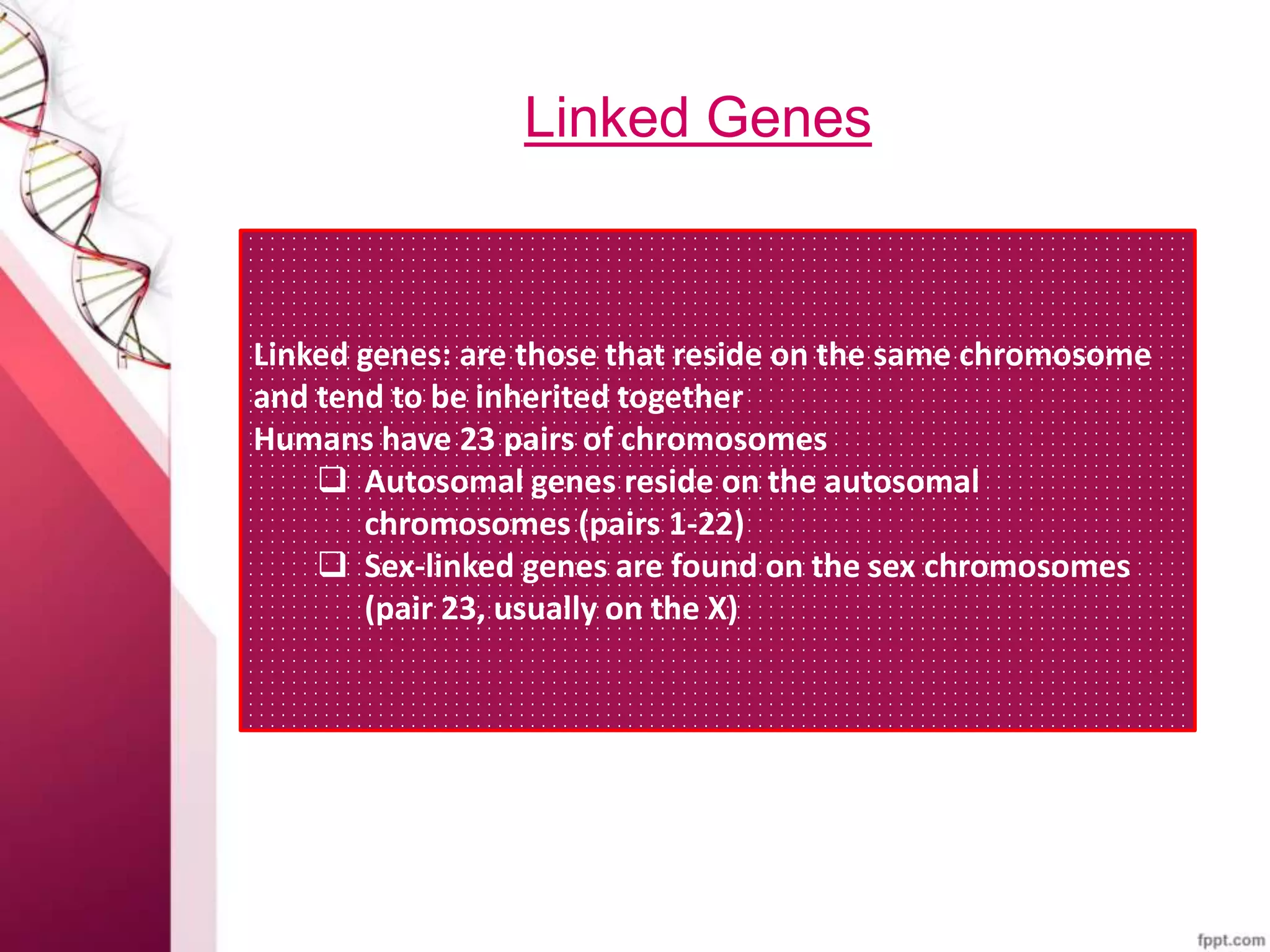 Linked Genes
Linked genes: are those that reside on the same chromosome
and tend to be inherited together
Humans have 23 pairs of chromosomes
 Autosomal genes reside on the autosomal
chromosomes (pairs 1-22)
 Sex-linked genes are found on the sex chromosomes
(pair 23, usually on the X)
 