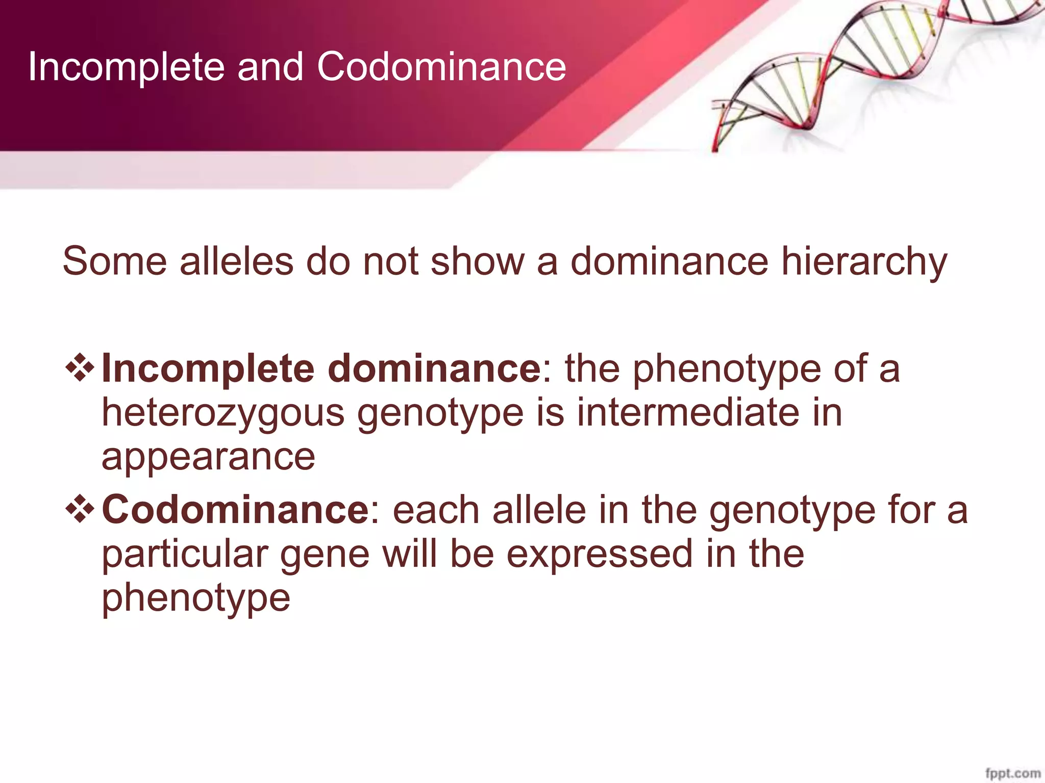 Incomplete and Codominance
Some alleles do not show a dominance hierarchy
Incomplete dominance: the phenotype of a
heterozygous genotype is intermediate in
appearance
Codominance: each allele in the genotype for a
particular gene will be expressed in the
phenotype
 