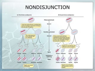 NONDISJUNCTION
 