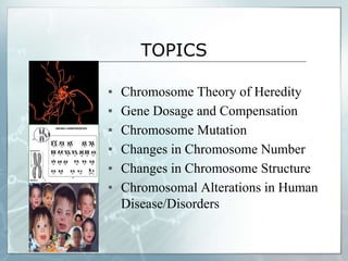 TOPICS
▪ Chromosome Theory of Heredity
▪ Gene Dosage and Compensation
▪ Chromosome Mutation
▪ Changes in Chromosome Number
▪ Changes in Chromosome Structure
▪ Chromosomal Alterations in Human
Disease/Disorders
 