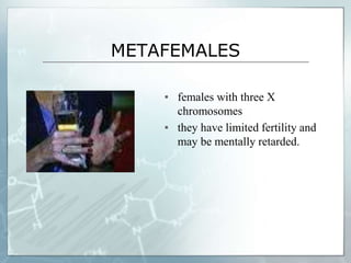 METAFEMALES
▪ females with three X
chromosomes
▪ they have limited fertility and
may be mentally retarded.
 