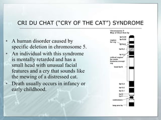 CRI DU CHAT (“CRY OF THE CAT”) SYNDROME
▪ A human disorder caused by
specific deletion in chromosome 5.
▪ An individual with this syndrome
is mentally retarded and has a
small head with unusual facial
features and a cry that sounds like
the mewing of a distressed cat.
▪ Death usually occurs in infancy or
early childhood.
 