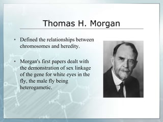 Thomas H. Morgan
▪ Defined the relationships between
chromosomes and heredity.
▪ Morgan's first papers dealt with
the demonstration of sex linkage
of the gene for white eyes in the
fly, the male fly being
heterogametic.
 