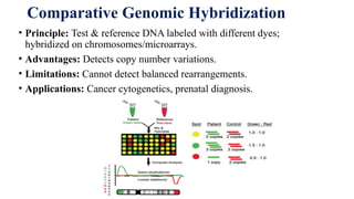 Chromosomal Characterization and walking | PPTX