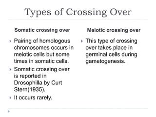 Types of Crossing Over
Somatic crossing over Meiotic crossing over
 Pairing of homologous
chromosomes occurs in
meiotic cells but some
times in somatic cells.
 Somatic crossing over
is reported in
Drosophilla by Curt
Stern(1935).
 It occurs rarely.
 This type of crossing
over takes place in
germinal cells during
gametogenesis.
 