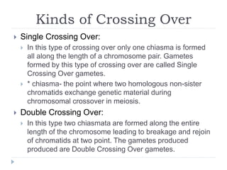 Kinds of Crossing Over
 Single Crossing Over:
 In this type of crossing over only one chiasma is formed
all along the length of a chromosome pair. Gametes
formed by this type of crossing over are called Single
Crossing Over gametes.
 * chiasma- the point where two homologous non-sister
chromatids exchange genetic material during
chromosomal crossover in meiosis.
 Double Crossing Over:
 In this type two chiasmata are formed along the entire
length of the chromosome leading to breakage and rejoin
of chromatids at two point. The gametes produced
produced are Double Crossing Over gametes.
 
