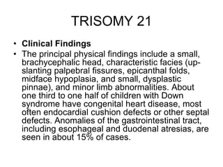 TRISOMY 21
• Clinical Findings
• The principal physical findings include a small,
brachycephalic head, characteristic facies (up-
slanting palpebral fissures, epicanthal folds,
midface hypoplasia, and small, dysplastic
pinnae), and minor limb abnormalities. About
one third to one half of children with Down
syndrome have congenital heart disease, most
often endocardial cushion defects or other septal
defects. Anomalies of the gastrointestinal tract,
including esophageal and duodenal atresias, are
seen in about 15% of cases.
 