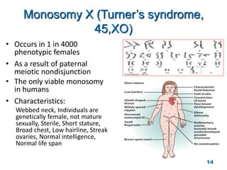 Monosomy X (Turner’s syndrome,
45,XO)
• Occurs in 1 in 4000
phenotypic females
• As a result of paternal
meiotic nondisjunction
• The only viable monosomy
in humans
• Characteristics:
Webbed neck, Individuals are
genetically female, not mature
sexually, Sterile, Short stature,
Broad chest, Low hairline, Streak
ovaries, Normal intelligence,
Normal life span
14
 
