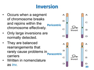 Inversion
Paracentric
Pericentric
• Occurs when a segment
of chromosome breaks
and rejoins within the
chromosome effectively.
• Only large inversions are
normally detected.
• They are balanced
rearrangements that
rarely cause problems in
carriers
• Written in nomenclature
as inv. 23
 