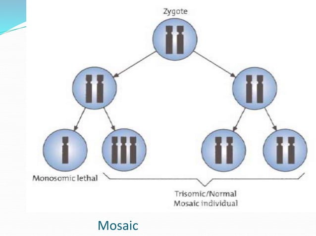 chromosomal disorders and its type and sign symptoms | PPT