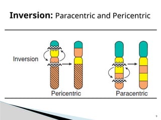 Parcentric Microscope Comprehensive Overview of Cytogenetic Disorders and Chromosomal ...