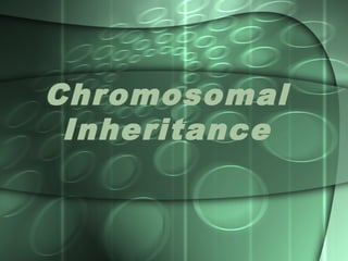 Chromosomal
 Inheritance
 