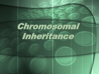 Chromosomal
Inheritance
 