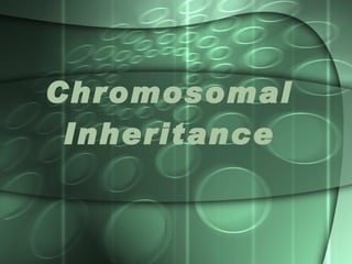 Chromosomal Inheritance 