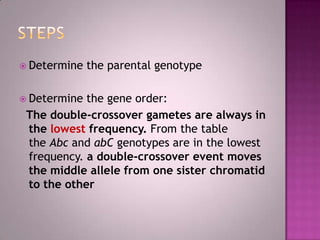 Chromosomal mappin highlighted | PPTX