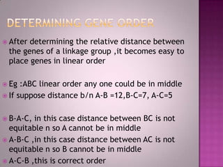 Chromosomal mappin highlighted | PPTX