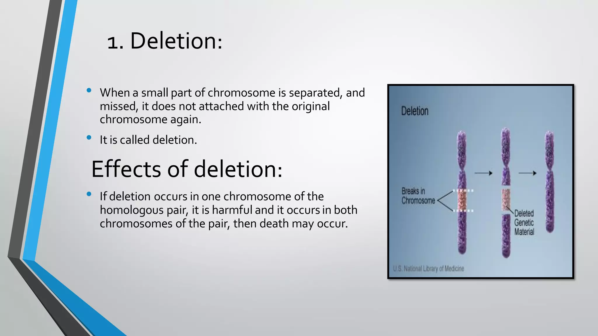 Chromosomal mutation and gene mutation | PDF