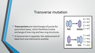 Chromosomal mutation and gene mutation | PPT