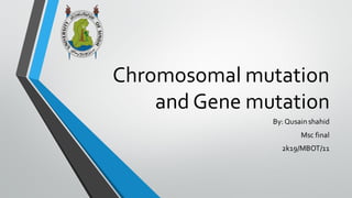 Chromosomal mutation
and Gene mutation
By: Qusainshahid
Msc final
2k19/MBOT/11
 