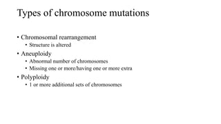 Types of chromosome mutations
• Chromosomal rearrangement
• Structure is altered
• Aneuploidy
• Abnormal number of chromosomes
• Missing one or more/having one or more extra
• Polyploidy
• 1 or more additional sets of chromosomes
 