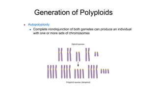 Chromosomal mutations | PPT
