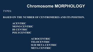 TYPES:
BASED ON THE NUMBER OF CENTROMERES AND ITS POSITION.
ACENTRIC
MONO CENTRIC
DI CENTRIC
POLYCENTRIC
ACROCENTRIC
TELOCENTRIC
SUB META CENTRIC
META CENTRIC
Chromosome MORPHOLOGY
 