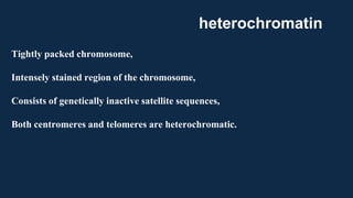 Tightly packed chromosome,
Intensely stained region of the chromosome,
Consists of genetically inactive satellite sequences,
Both centromeres and telomeres are heterochromatic.
heterochromatin
 