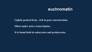 Lightly packed form, rich in gene concentration.
Often under active transcription.
It is found both in eukaryotes and prokaryotes.
euchromatin
 