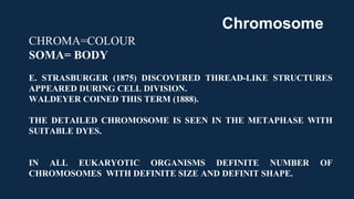 CHROMA=COLOUR
SOMA= BODY
E. STRASBURGER (1875) DISCOVERED THREAD-LIKE STRUCTURES
APPEARED DURING CELL DIVISION.
WALDEYER COINED THIS TERM (1888).
THE DETAILED CHROMOSOME IS SEEN IN THE METAPHASE WITH
SUITABLE DYES.
IN ALL EUKARYOTIC ORGANISMS DEFINITE NUMBER OF
CHROMOSOMES WITH DEFINITE SIZE AND DEFINIT SHAPE.
Chromosome
 