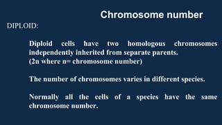 DIPLOID:
Diploid cells have two homologous chromosomes
independently inherited from separate parents.
(2n where n= chromosome number)
The number of chromosomes varies in different species.
Normally all the cells of a species have the same
chromosome number.
Chromosome number
 