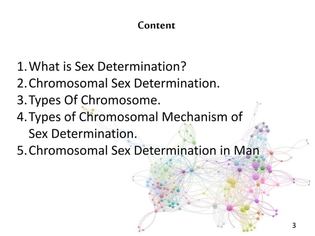 Chromosomal sex determination in man | PPT