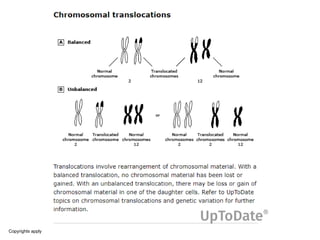 Translocation Visual Chromosomal translocation mechanism.pptx
