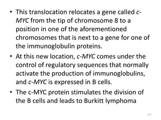 • This translocation relocates a gene called c-
MYC from the tip of chromosome 8 to a
position in one of the aforementioned
chromosomes that is next to a gene for one of
the immunoglobulin proteins.
• At this new location, c-MYC comes under the
control of regulatory sequences that normally
activate the production of immunoglobulins,
and c-MYC is expressed in B cells.
• The c-MYC protein stimulates the division of
the B cells and leads to Burkitt lymphoma
112
 