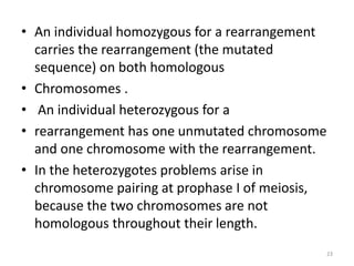 • An individual homozygous for a rearrangement
carries the rearrangement (the mutated
sequence) on both homologous
• Chromosomes .
• An individual heterozygous for a
• rearrangement has one unmutated chromosome
and one chromosome with the rearrangement.
• In the heterozygotes problems arise in
chromosome pairing at prophase I of meiosis,
because the two chromosomes are not
homologous throughout their length.
23
 