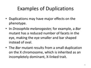 Examples of Duplications
• Duplications may have major effects on the
phenotype.
• In Drosophila melanogaster, for example, a Bar
mutant has a reduced number of facets in the
eye, making the eye smaller and bar shaped
instead of oval.
• The Bar mutant results from a small duplication
on the X chromosome, which is inherited as an
incompletely dominant, X-linked trait.
26
 