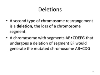 Deletions
• A second type of chromosome rearrangement
is a deletion, the loss of a chromosome
segment.
• A chromosome with segments AB•CDEFG that
undergoes a deletion of segment EF would
generate the mutated chromosome AB•CDG
30
 